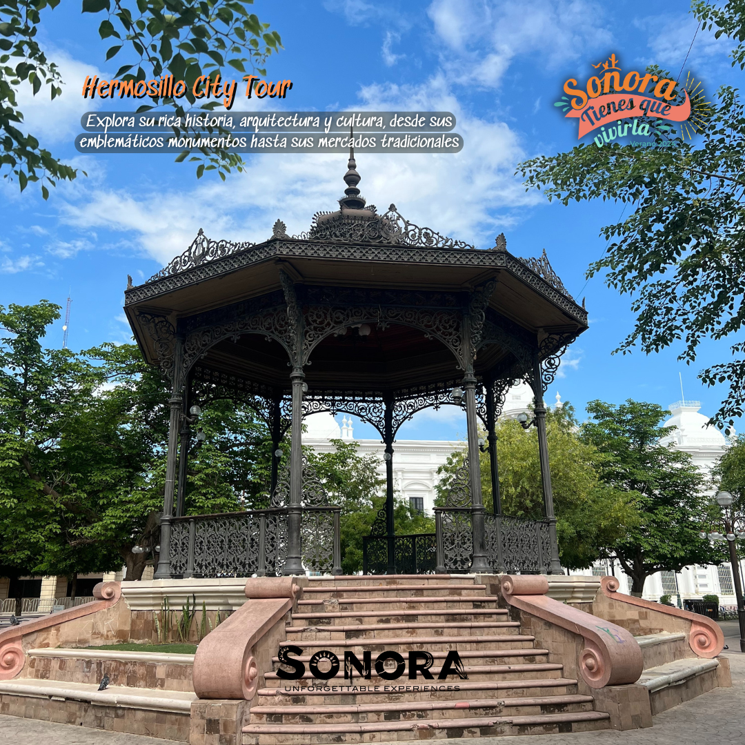 www.sonoratours.com.mx (4)
